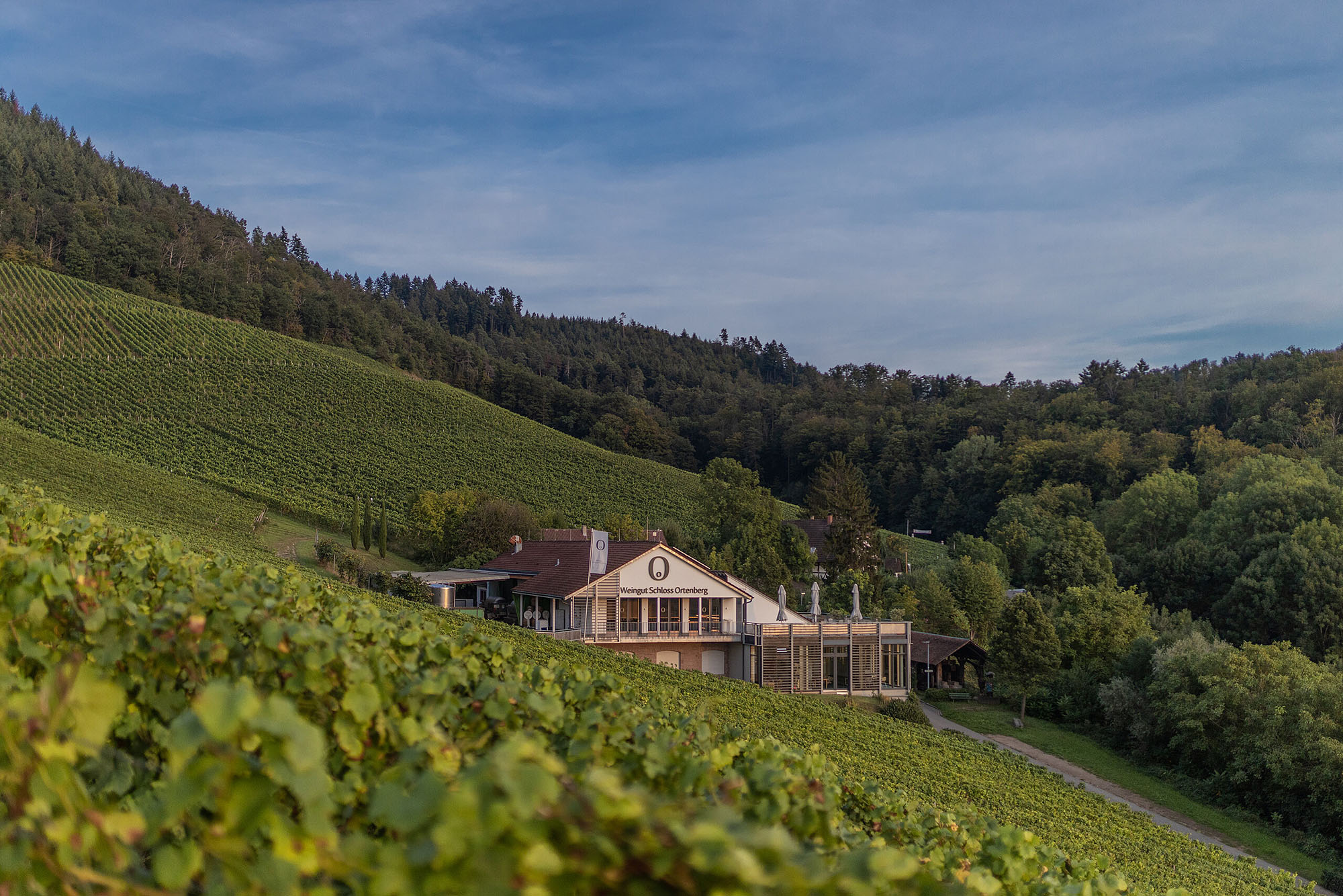 Weinfest am Rhein Schloss Ortenberg